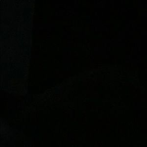 Meet your Posher, Brantley